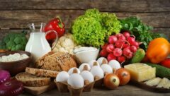 Theneurogenesisprojectinc